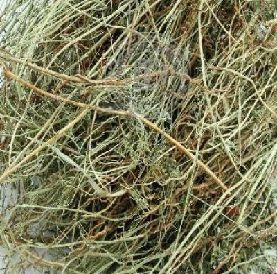 Sri Herbal Dried Bhumi Amla: Experience Its Therapeutic Benefits